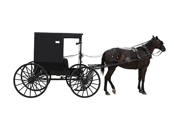 amish de transport - traction animale photos et images de collection