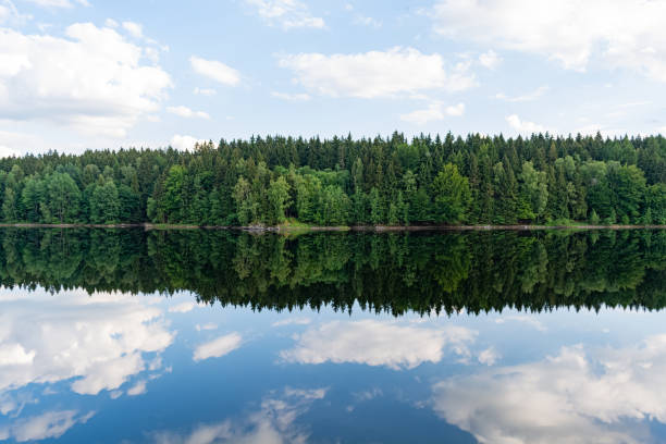 istock forest lake with blue sky and clouds 1195639657