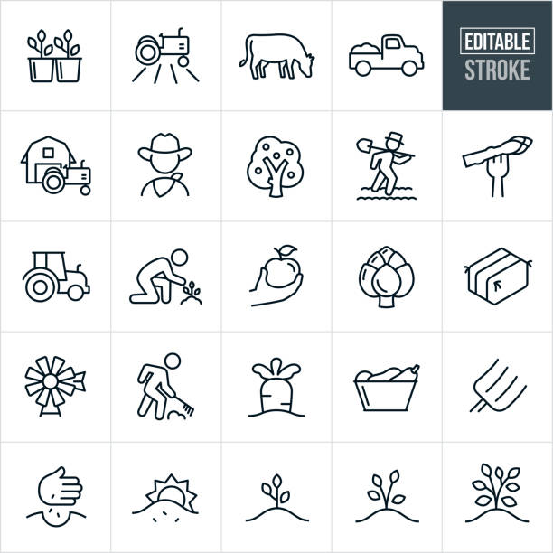 Farming Thin Line Icons - Editable Stroke A set of Farming icons that include editable strokes or outlines using the EPS vector file. The icons include sprouts, plants, tractor, crops, field, cow, livestock, truck, barn, farmer, apple tree, farmer tending fields, asparagus, apple, artichoke, hay bail, windmill, farmer raking, carrot, vegetables, pitchfork, planting seeds, growing plants, growing trees and other related icons. tree symbols stock illustrations