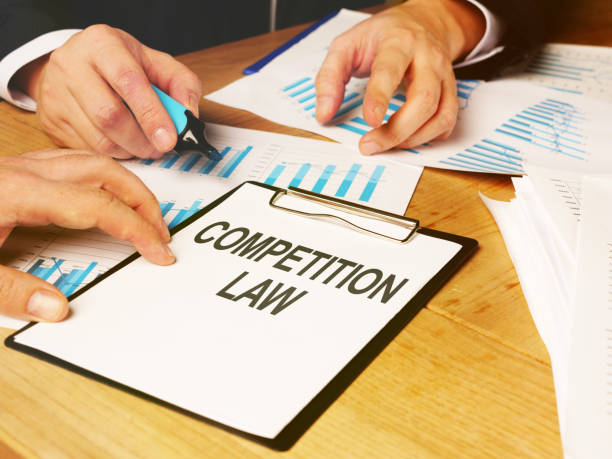 istock Text sign showing hand written words competition law 1195642981