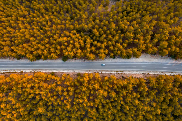 Aerial view of a mountain road. Taken via drone.
