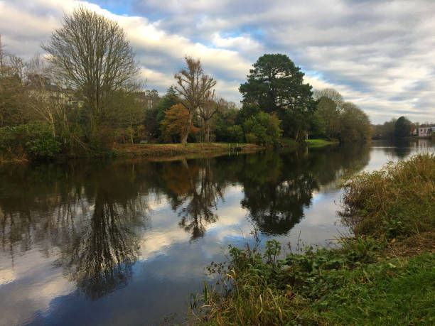 fleuve lee et arbres vus du parc de fitzgerald à cork, irlande - rivière lee photos et images de collection