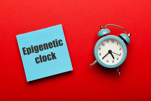 Epigenetic clock concept. Biological aging of human body, research of old age.