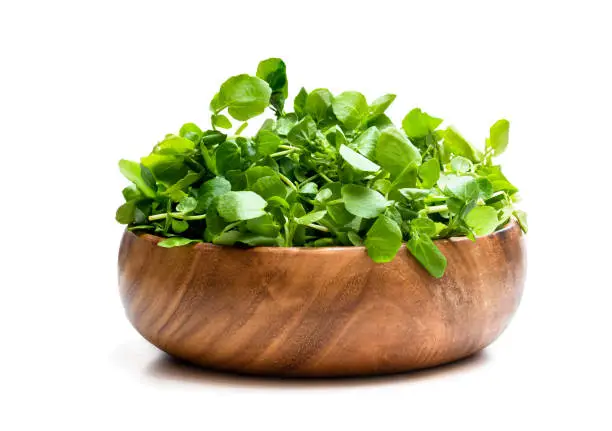 Watercress  in wooden bowl isolated on white