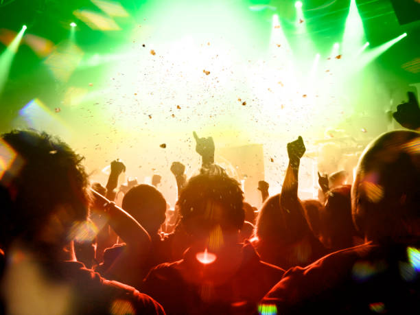 istock Music festival crowd 1195669451
