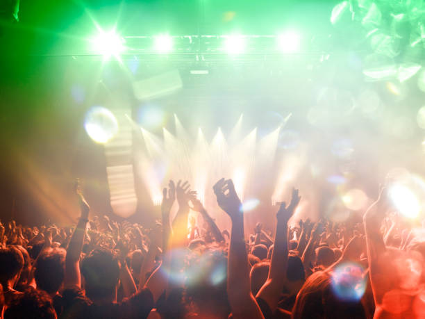 istock Music festival crowd 1195669453