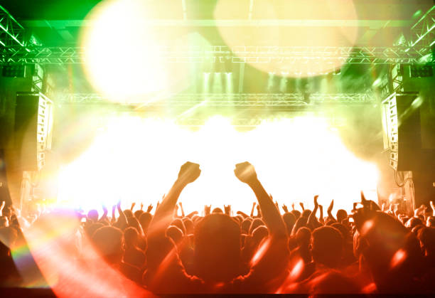 istock Music festival crowd 1195669454