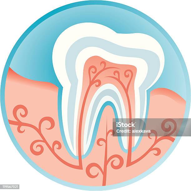Icona Dentale - Immagini vettoriali stock e altre immagini di Accudire - Accudire, Bianco, Biologia