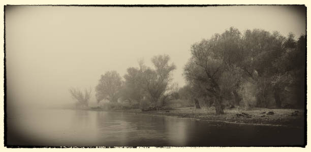 Spooky winter landscape on old photo showing forest and the river.