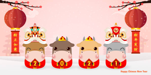 Four little ox holding a sign golden, Happy new year 2021 year of the ox zodiac, Cartoon isolated vector illustration, Translation: Greetings of the New Year. Wishing you all success and wealth Four little ox holding a sign golden, Happy new year 2021 year of the ox zodiac, Cartoon isolated vector illustration, Translation: Greetings of the New Year. Wishing you all success and wealth female animal mammal animal lion stock illustrations