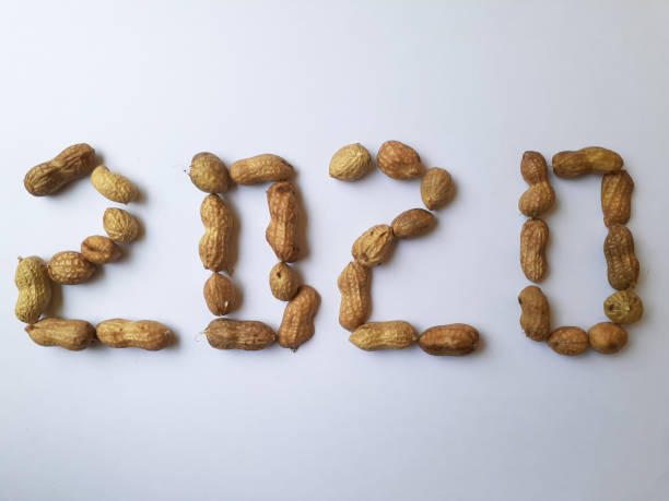 istock Happy new year 2020. Beans and white background 1195677084
