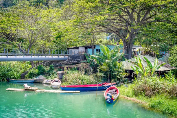 Colorful tour/ fishing boats/ motorboats/ rowboats and a bamboo raft docked on river bank in scenic landscape countryside setting in Jamaica. Sunny summer time/ summertime on tropical Caribbean island