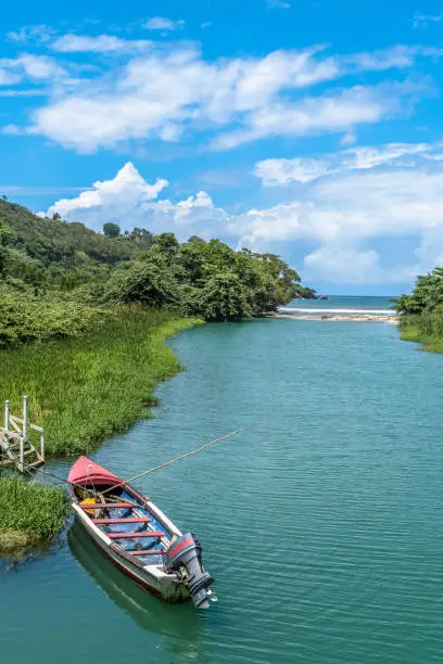 Colorful tour/ fishing boat/ motorboat/ rowboat docked on river bank in scenic landscape countryside coastal setting on Great River in Jamaica. Sunny summer/ summertime on the Caribbean island.