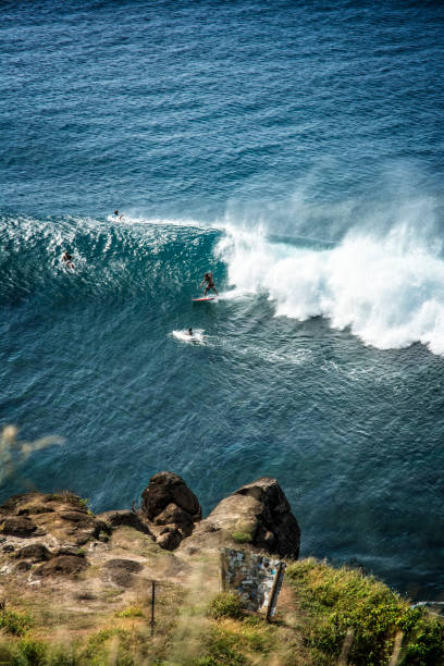 istock Surfing On Wave In Maui Hawaii 1195680691