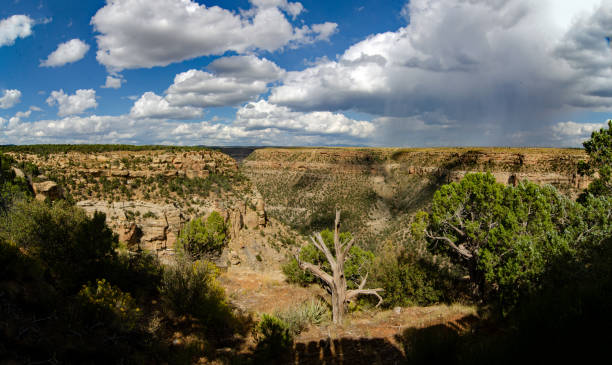 istock Mesa Verde Balcony House Panorama 1195683274