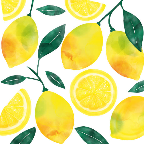 illustrations, cliparts, dessins animés et icônes de aquarelle main painted lemons and lemon slices background. printemps, fond de concept d'été. - lemon fruit citrus fruit yellow