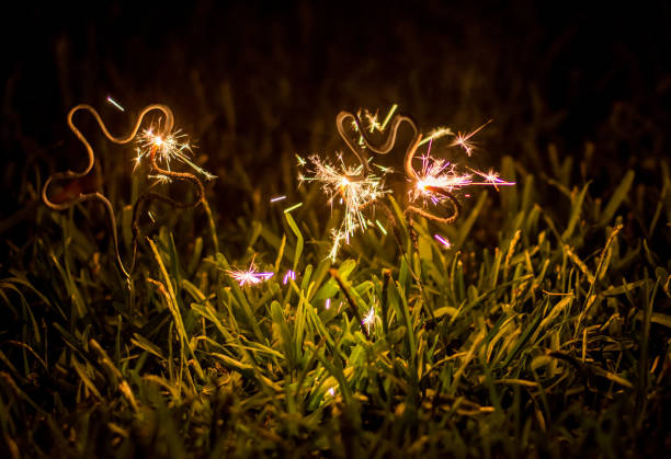 istock Sparkles in the grass at night. Celebration concept. Happy New Year 1195692796