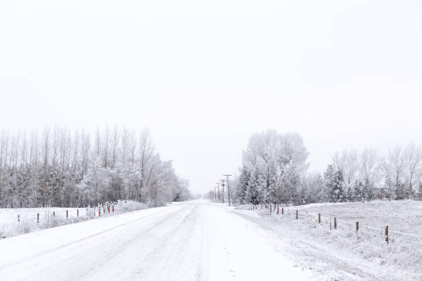 istock Snowy rural country winter scene 1195694483