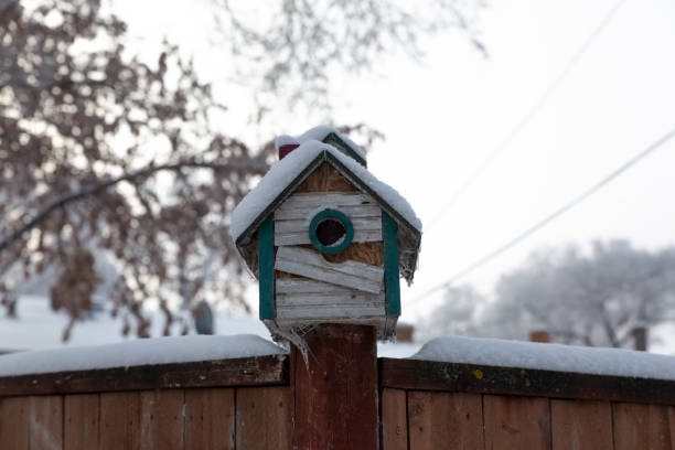 istock Snowy bird house on a fence 1195695044
