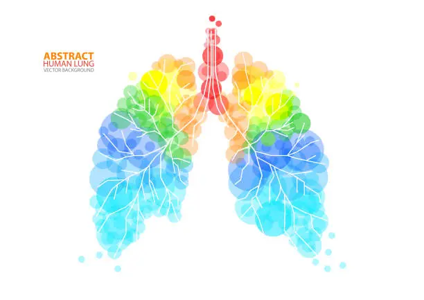 Vector illustration of Abstract human lung vector with transparent orbs