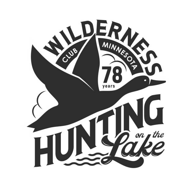 ilustrações de stock, clip art, desenhos animados e ícones de hunting club t-shirt print, flying duck above lake - wildfowl