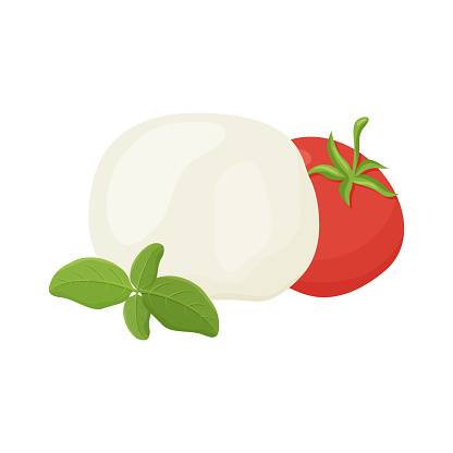 Mozzarella ball, tomato, green basil branch. Hand drawn cartoon illustration. Handmade cheese. Isolated vector image on white background. Color flat clip art