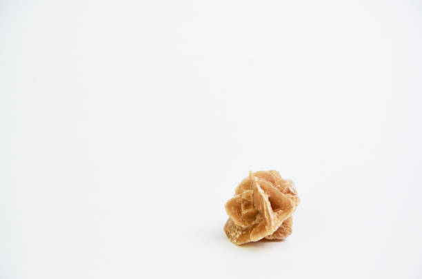 Desert rose on a light background close-up in the studio.Horizontal