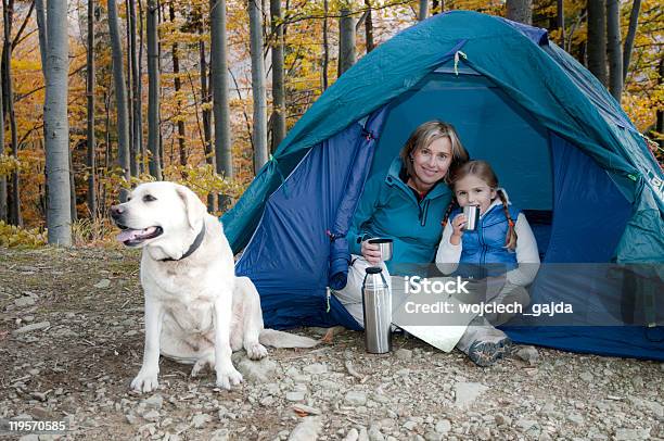 Otoño Campamento Con Perro Foto de stock y más banco de imágenes de Camping - Camping, Labrador - Perro Cobrador, Actividades recreativas