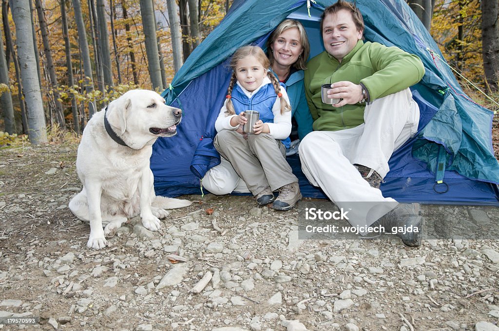 Família Acampar com Cão outono - Royalty-free Acampar Foto de stock