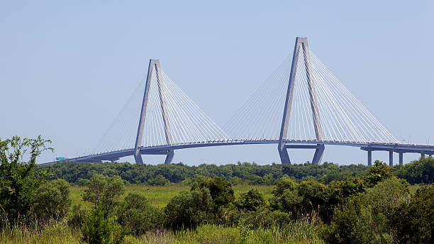 istock Modern Charleston Bridge as seen from Magnolia Cemetery 119570609