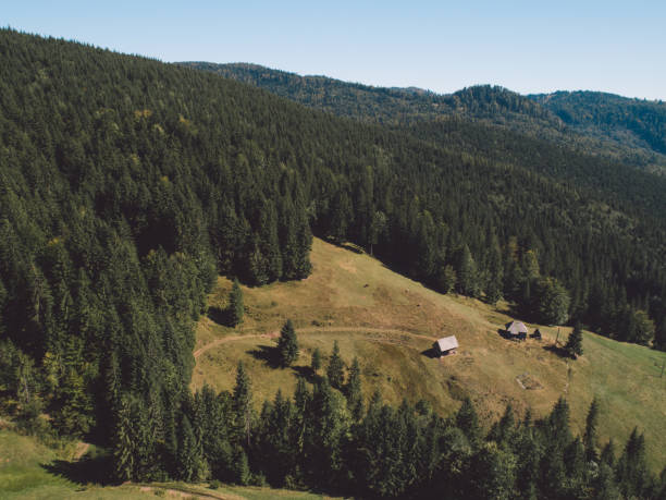 istock Scenic View Of Field Against Sky 1195707327