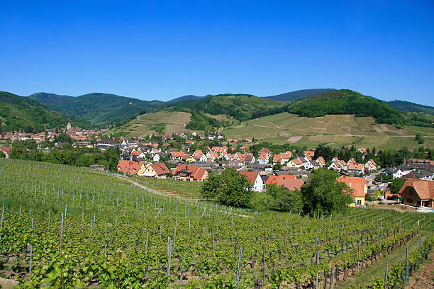 istock Wine route in Alsace, France 119570736