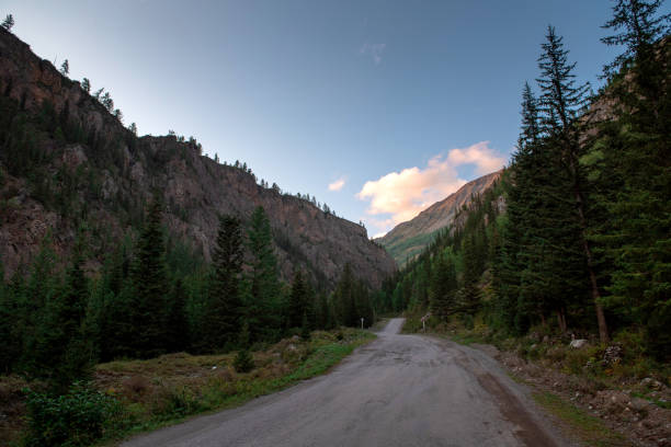 istock Mountain road in Altai, Russia 1195709930
