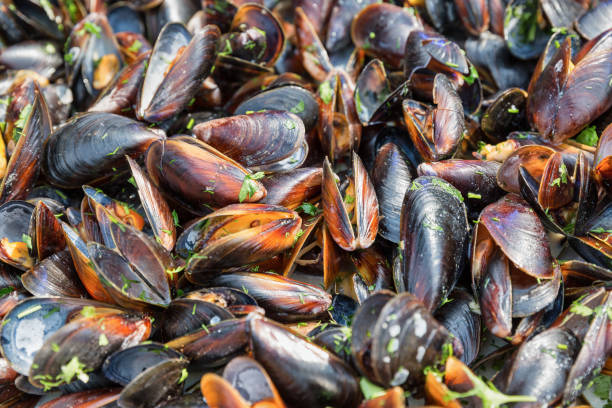 istock fresh cooked mussels closeup background 1195715404