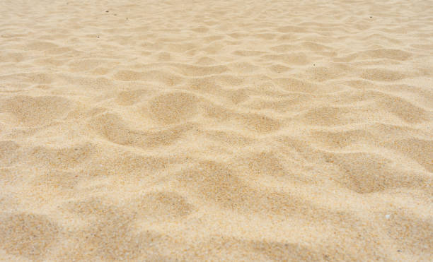 istock Texture background, Full frame shot of sand texture background 1195716369