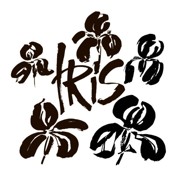 logo kwiatu wektora. kwiatowe tło. atrament kaligrafii. stylizowana kaligraficzna przysłona atramentu. - iris ink and brush sign flower stock illustrations