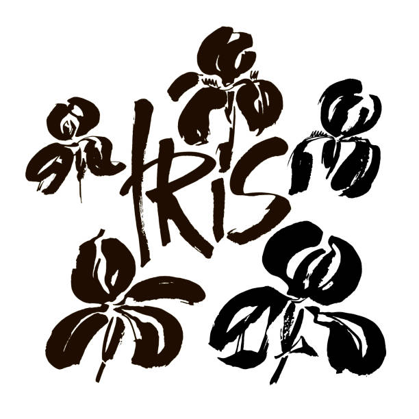 логотип цветка вектора. цветочный фон. чернила каллиграфии. стилизованная каллиграфическая чернильная оболочка глаза. - iris ink and brush sign flower stock illustrations