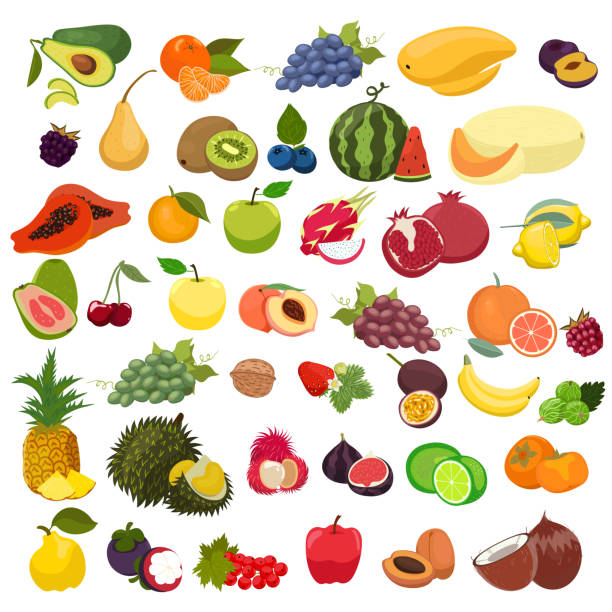 ilustraciones, imágenes clip art, dibujos animados e iconos de stock de conjunto de frutas aisladas sobre un fondo blanco. gráficos vectoriales. - papaya fruta tropical