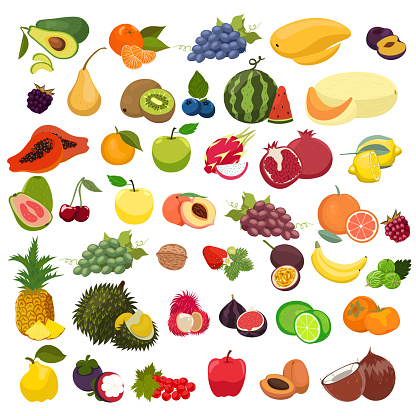 Set of fruits isolated on a white background. Vector graphics.