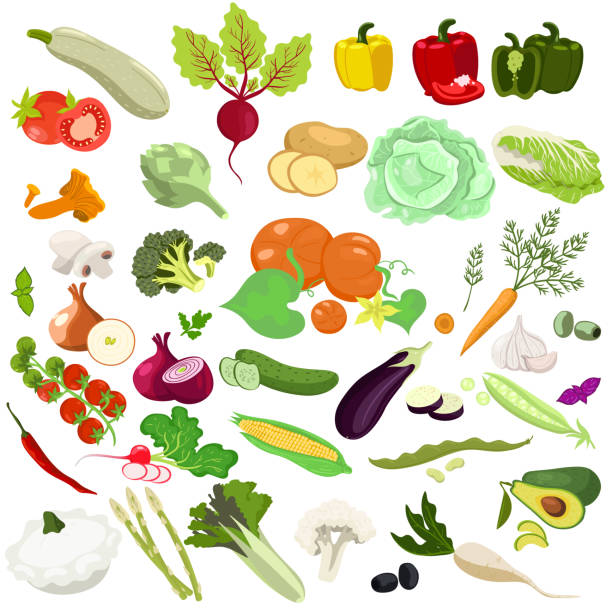набор овощей, изолированных на белом фоне. векторная графика. - raw potato isolated vegetable white background stock illustrations