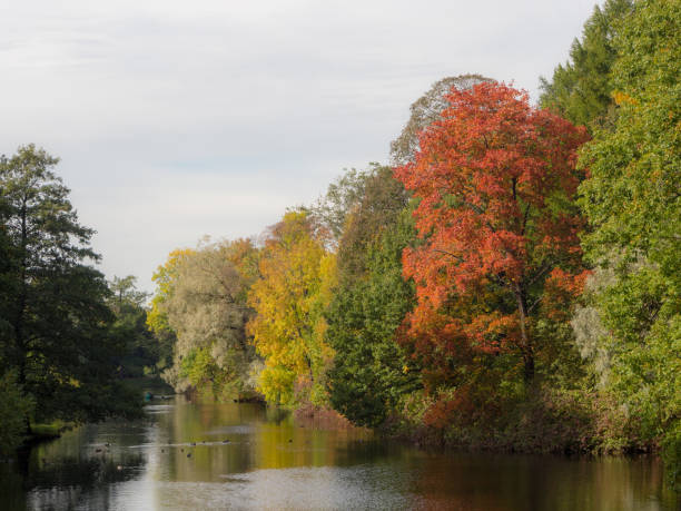 istock landscape in the autumn park 1195733543