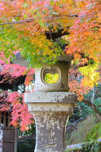 Location: Kochi City, Kochi Prefecture, Japan
