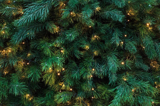 istock Pattern with green branches with pine illuminated garlands lights, soft focus 1195736060