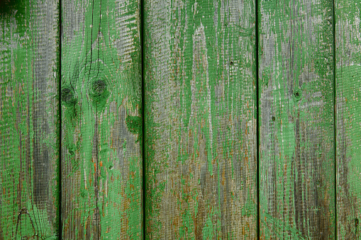 Old weathered wooden plank painted green for background or texture