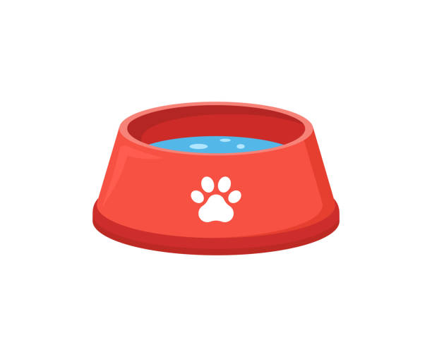 Pet food bowl for dog cat vector icon. Pet plate isolated flat feed bowl Pet food bowl for dog cat vector icon. Pet plate isolated flat feed bowl. cat water stock illustrations
