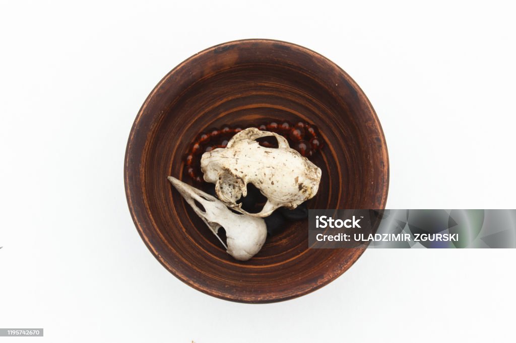 clay plate with cat and bird skulls on white. Still life. Pagan symbols. Shaman Stock Photo