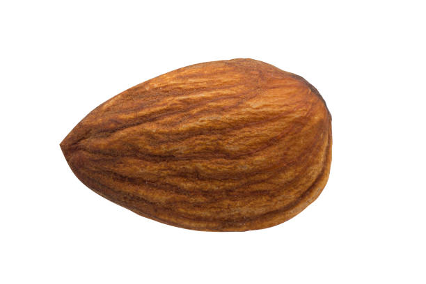 istock Almond on pure white background 1195744910