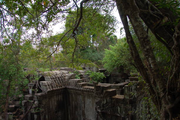 istock View of Beng Mealea temple, Cambodia 1195750458