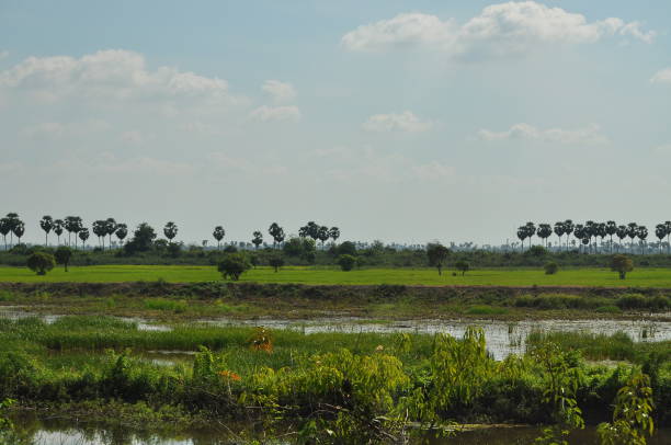istock Cambodian landscape near Phnom Penh 1195750898