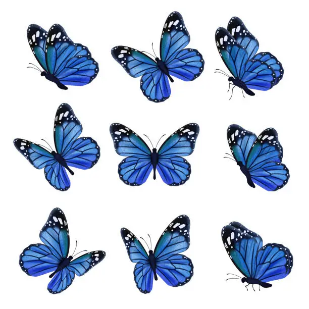 Vector illustration of Colored butterflies. Flying beautiful insects wedding butterfly with decorated wings vector